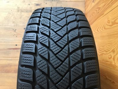 Delinte Winter WD6